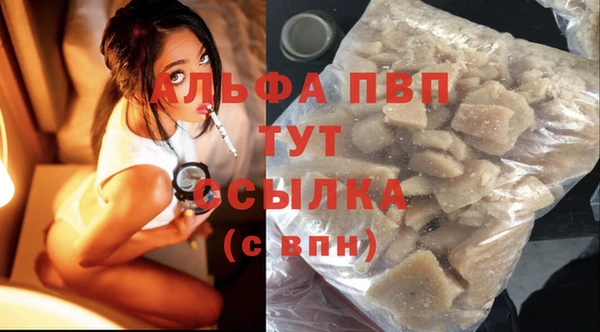 PSILOCYBIN Бикин