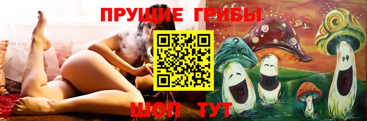 Галлюциногенные грибы GOLDEN TEACHER  Вход с VPN  купить   Миллерово  Псилоцибиновые грибы Psilocybe 