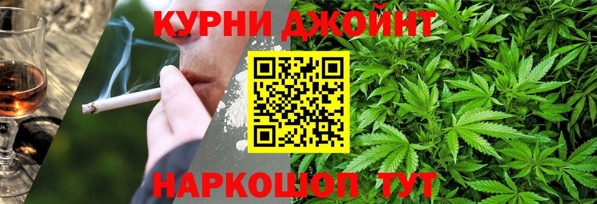 Шишки марихуана тримм  Бошки Шишки Bruce Banner  Вход с VPN  Бошки марихуана план  Миллерово  Шишки марихуана тримм 